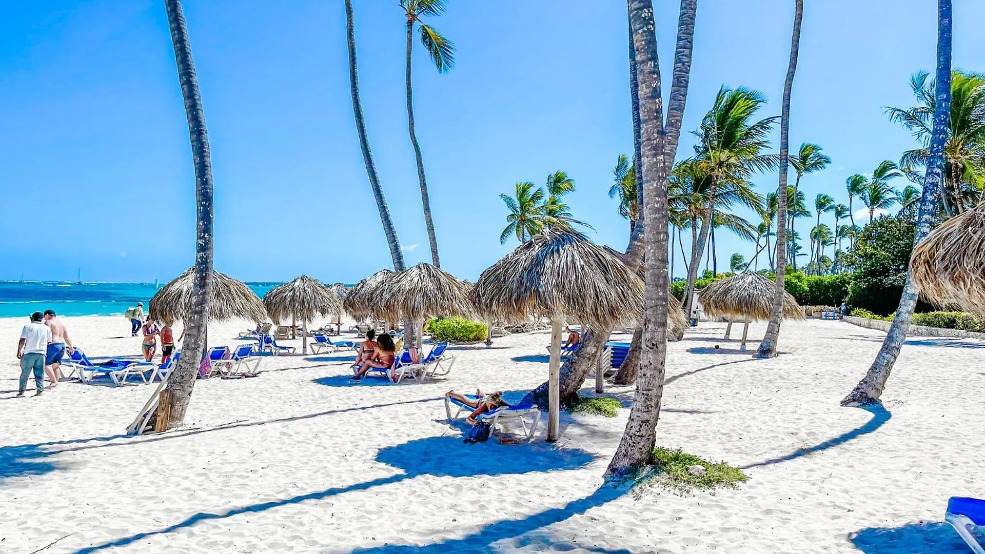 Ducassi Suites Rooms Hotel Beach Playa Bavaro Wifi Parking Rooftop Pool & Spa Punta Cana Dominican Republic